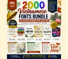 2000 Vietnamese Fonts Bundle: Modern, Script, Handwritten Typefaces (Instant Download)